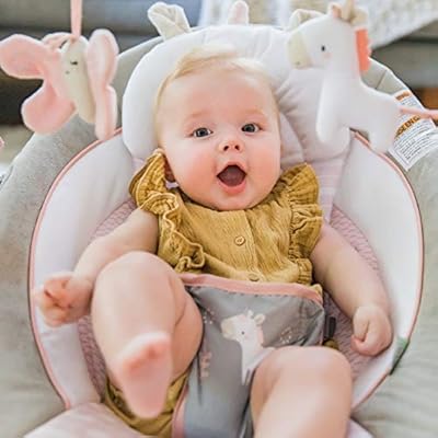 ingenuity flora cradling bouncer