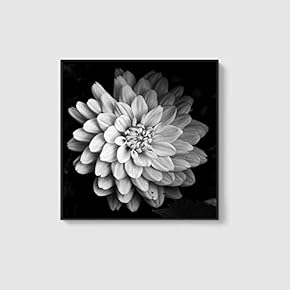 Framed Canvas Home Artwork Decoration Beautiful Flower Canvas Wall Art for Living Room, Bedroom - 16x16 inches