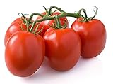 30 Italian Roma Tomato Seeds, Heirloom
