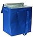 CYMA Large Insulated Zippered Tote Bag (Royal Blue)