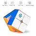 D-FantiX Gan 249 V2 M Magnetic 2x2 Speed Cube Stickerless Gans 2x2 Magic Cube Puzzle Toy (49mm)