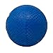 Mikasa Playground Ball (Blue, 8.5-Inch)