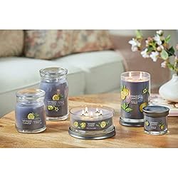 Yankee Candle Black Tea & Lemon Scented, Signature