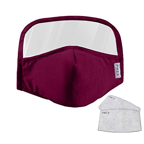 Wendeyipi 1PC Adult Outdoor Face Protective with Eyes Shi-e-l-d + 2 F-i-l-ters, Mouth Protectives (Purple)
