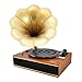 Bluetooth Compatible Gramophone Vintage Turntable - Classic Retro Record Player Speaker System w/ 2-Speed, Full Range Stereo Speakers, Convert Vinyl to Digital MP3, USB, AUX, RCA - Pyle PNGTT12RBT