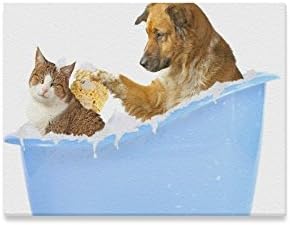 Funny Dog and Cat Bathing Canvas Print Modern Wall Art for Home Room Office Decoration (16x12 inch)