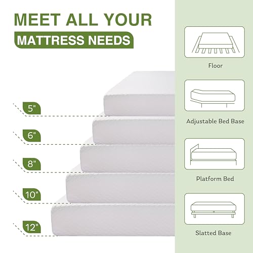 EGOHOME 8 Inch Twin Mattress, Memory Foam Mattress with Cooling Green Tea Gel, Relieve Pressure with Medium Firm Support, CertiPUR-US Certified, 75''L x 38''W, White