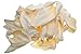 Brazilian Pet 100% Natural Real Cow Ears (50 Pack) Prime Dog Chews, Over 5 inches Free Range Grass Fed Cattle, No additives, Chemicals or Hormones