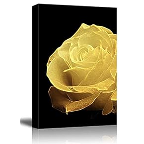 Canvas Wall Art - Gold Rose Flower Petal on Black Background - Giclee Print Gallery Wrap Modern Home Art Ready to Hang - 12x18 inches