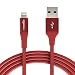 AmazonBasics USB A Cable with Lightning Connector, Premium Collection, MFi Certified iPhone Charger, 10 Foot, Red primary