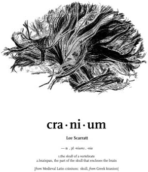 Cranium