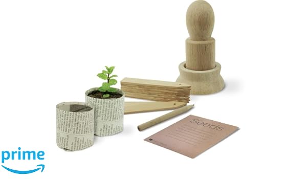 Kit de plantation avec pots en papier et accessoires: Amazon.es ...
