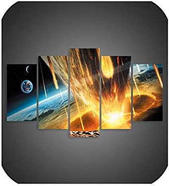 meiguiyuan 5 Piece Canvas Art Abstract Black Lion Pictures Home Wall Decorative Pictures Canvas Paintings for Living Room Wall,50x70 50x90 50x110cm,JM-227