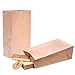 GSSUSA Brown Paper Bags - 6