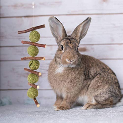 Bunny Chew Toys for Teeth, Natural Organic Apple Sticks for Rabbits