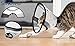 SCENEREAL Cat Recovery Collar - E Collar for Cats Pet Cone Collar Soft Adjustable for Kittens & Puppy