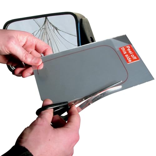 Carpoint 2423201 Mirror Kit 12.5 x 20 cm, silver