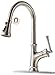 APPASO Pull Down Kitchen Faucet with Sprayer, Single Handle High Arc Single Hole Pull Out Kitchen Sink Faucets with Deck Plate, Stainless Steel Brushed Nickel