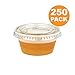Fit Meal Prep 250 Pack 2 oz Jello Shot Cups with Lids, Disposable Souffle Portion Cups for Sauce