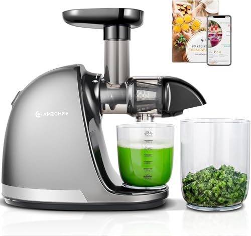 AMZCHEF Cold Press Slow Juicer, Electric Masticating Machine for Fruits and Vegetables, with 2 Cups and Brush, Grey