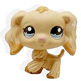 LHJ 1716 Tan Cocker Spaniel Puppy Dog Dipped Blue Eyes Rare