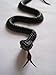 Vedem Funny Prank Joke Realistic Lifelike Rubber Snake Toy