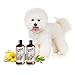 Sofee & Co. Natural Oatmeal Dog Puppy Conditioner – Detangle Moisturize Soothe Soften Normal Dry Itchy Flaky Allergy Sensitive Skin. Prevent Mattes. 16 oz (White Tea & Ginger)