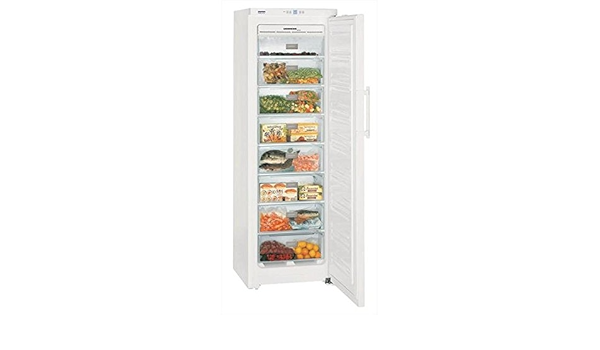 Liebherr GNP 3013-21 Independiente Vertical 257L A++ Blanco ...