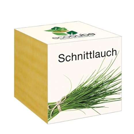 Ecocube Schnittlauch im Holzwürfel