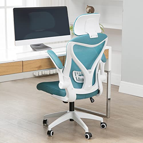 HOMEFUN Ergonomic Office Chair, Mesh Computer Desk Chair with Headrest