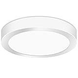 LED Flush Mount Ceiling Light, 11.42 Inch 24W 6500K