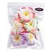 FRCOLOR 12 Pieces 3.5 Inch Hawaiian Plumeria Flower Hair Clips Foam Women Ladies Hair Accessories for Beach Party Wedding Event Decoration