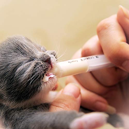 6 Frienda+Measurement+Scientific+Measuring+Refilling