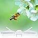10 Pack Small Hive Beetle Oil Traps Clear Plastic Baitable Reusable Hive Beetle Trap Beekeeping Tools Plastic Beekeeping Supplies