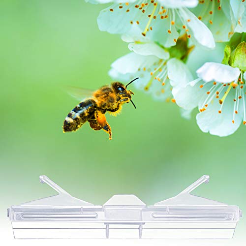 4 Plastic+Baitable+Reusable+Beekeeping+Supplies