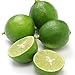 Sea Salt Body Scrub by Florida Suncare - Ocean Salt Body Polish Infused with Marine Algae - Exfoliating Face and Body Scrub - Facial Scrub Exfoliator to Tackle Acne (Key Lime, 3.3 oz)