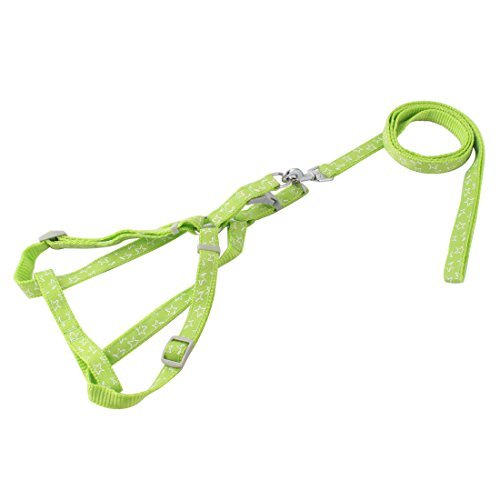 Amazoncom Edealmax Etoiles Imprimer Nylon Pet Walking