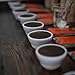 Nicaragua (1 LB) Cascara, Direct Trade, Brewing Instructions Included