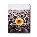 Sunflower Wall Art Inspirational Canvas Print for Bathroom Wall Décor Black and White Yellow Flowers Field Painting Funny Floral Picture Modern Framed Posters Office Classroom Home Decor 12x16in