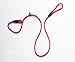 Gefryco Nylon Rope Dog Whisperer Style Slip Training Leash Lead and Collar (Red)