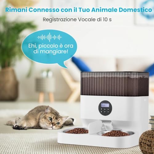 Mangiatoia automatica per due gatti, cibo intelligente per gatti automatico, promemoria vocale, fino a 80 porzioni e 4 pasti al giorno per gatto e cane, bianco 5L