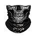 JOEYOUNG Skull Face Mask UV Sun Dust Neck Gaiter Bandana Headwear Motorcycle