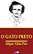 Livro O Gato Preto