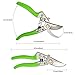 THANOS Professional SK-5 Hand Pruners, Garden Shears,Pruning Shears with Spring and Safety Buckle, Garden Clippers for Garden Harvesting Fruits & Vegetables, Trimming Plants Flowers (Light Green)thumb 2