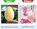 Jade Yoni Egg for Women, Predrilled with Unwaxed String for Pelvic Muscle Kegel Exercise Genuine Natural Nephrite Egg Set of 3 Gift Pack