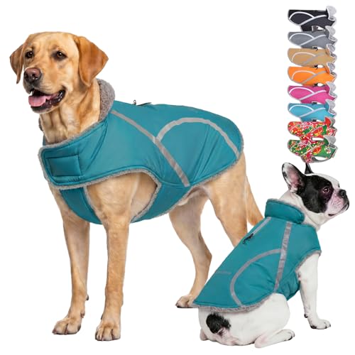 Vivaglory Frostfit Dog Winter Coat