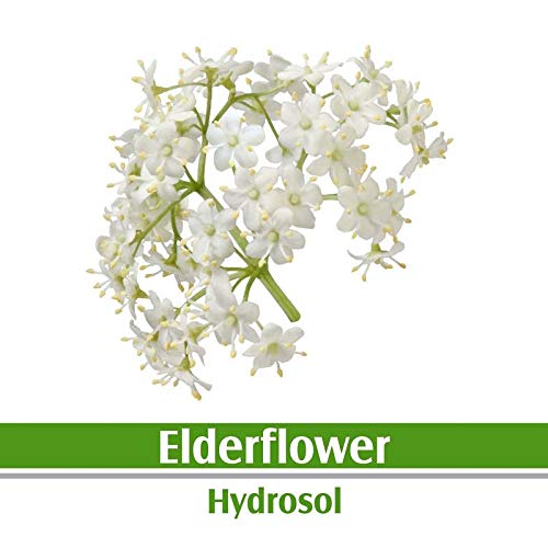 Elderflower Floral Water 100 Pure Hydrosol Spray Mist for Skin & Body Cooling, Face, Astringent