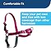 PetSafe Easy Walk Harness for Dogs - Pull-Free Walks - Patented Martingale Loop Design - Front Chest Leash Attachment - Comfort Straps - Breathable Harness Design - Small/Medium, Royal Blue/Navy Blue