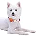 Blueberry Pet 8 Patterns Thanksgiving Fall Obsession Ginkgo Biloba Leaf Designer Adjustable Dog Collar with Pumpkin, Small, Neck 12″-16″thumb 3