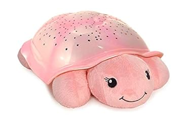 twilight turtle cloud b